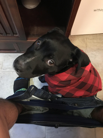Are you done yet