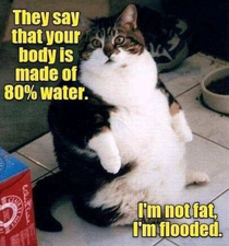 Are you flooded too