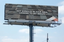 Are you shingle