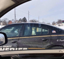 Arrested for Purrglary