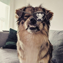 Arrrr Im a Mighty Mighty Pirate