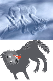 Artistic reconstruction of the gray wolf sighting earlier today
