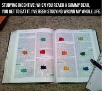 As a college student I think Ive finally found a way to study