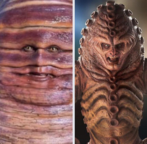 As a Doctor Who fan I knew Heidis costume looked familiar