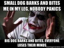 As a large dog owner who was just attacked by my neighbors little shit of a dog this really irritates me