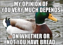 As a mallard