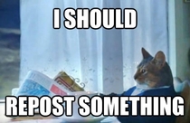 As a non-creative person with no pets and lacking in link karma