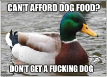 As a pet store employee I see this way too often Completely infuriates me