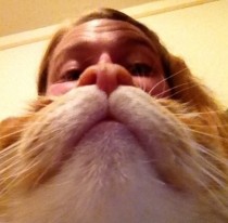 As a thumbnail it looks like a pretty legit cat beard