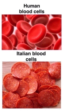 As someone who is half Italian I approve of this message