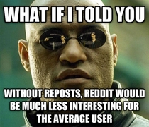 As someone who only spends  hours a day on reddit 
