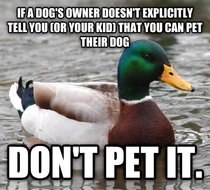 As someone who owns a nervous and territorial dog this is not only infuriating but also potentially dangerous