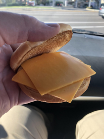 Asked for a plain cheeseburger in the McDonalds drive thru
