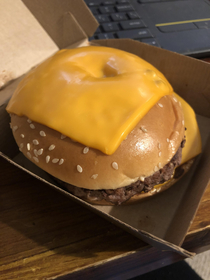 Asked for extra cheese on the burger Clearly someones first day