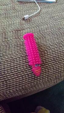 Asked my  year old great grandmother what this was she said Oh your aunt left that Its a dog toy Why Did you think it was a dildo Im still laughing