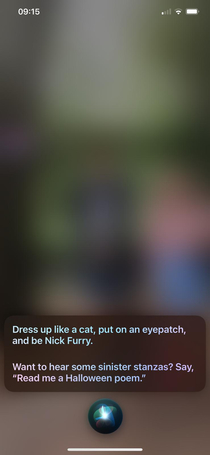 Asked Siri what to wear for Halloween