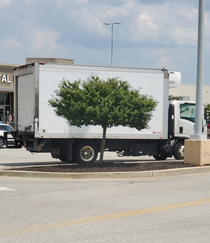At first glance I thought this truck had a cool realistic tree painted on it