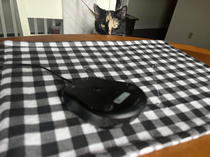 At first I thought my cat was nicely joining me for breakfast but then I realized