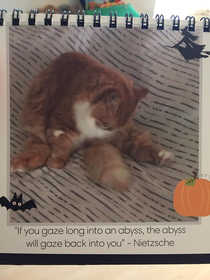 At long last we have reached October in our cat calendar