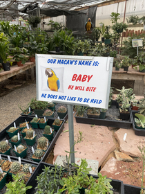 At my local nursery