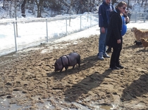 At The Off-Leash Dog Park When All Of A Sudden