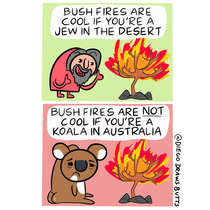 Australian Bushfires