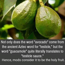 Avacados are not naturally grown fruit in India