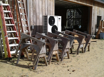 Awww it must be sawhorse mating seasonNature is healing