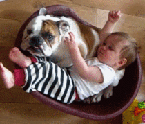 Baby and Bulldog