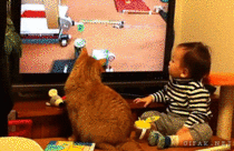 Baby and cat in unison