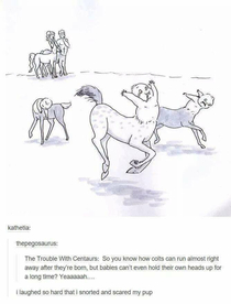 Baby centaurs 