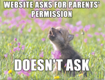 Baby Insanity Wolf on internet safety