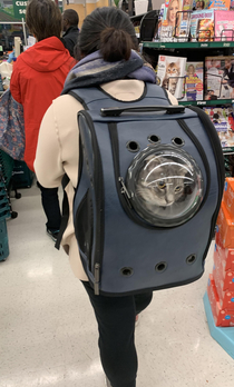 Backpack cat in a grocery store