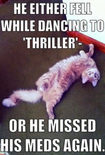 Bad dancer or crazy cat 