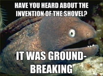 Bad joke eel