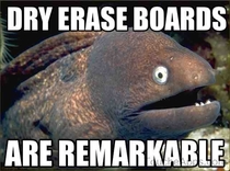 Bad Joke Eel at his best