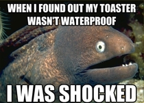 Bad joke eel on toasters