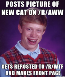 Bad Luck Brian