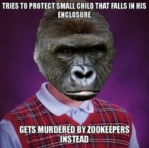 Bad Luck Cincinnati Gorilla