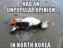 Bad Luck Puffin