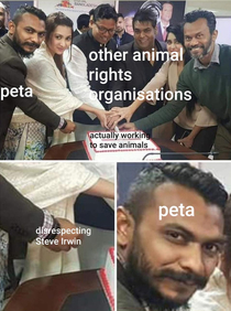 Bad PETA