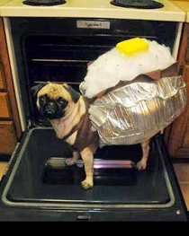 Baked Pugtato