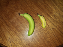 Banana banana for size
