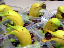 Banana Dolphins