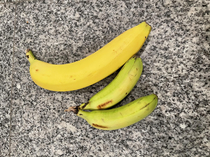 Bananas Banana for scale