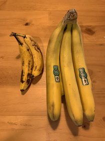 Bananas for scale