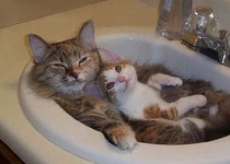 Bath time with mumma 
