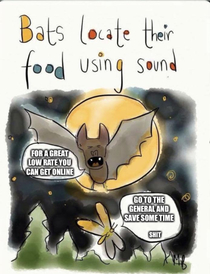 Bats are truly fascinating