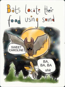 Bats while eating SO GOOD SO GOOD SO GOOD