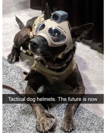Battle Boy